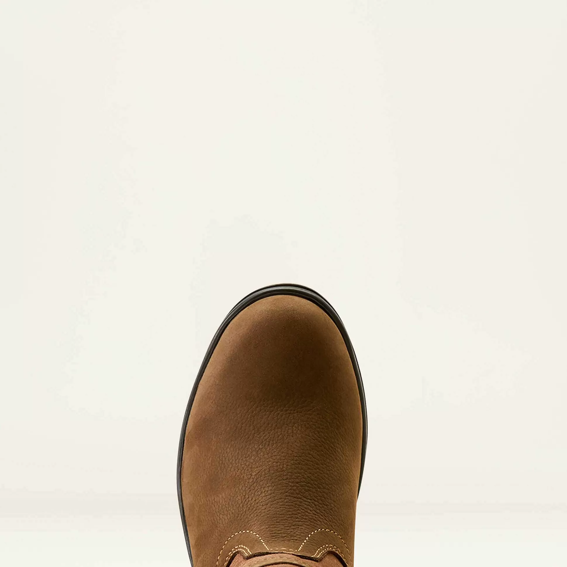 ariat English Riding Boots*Langdale Waterproof Boot